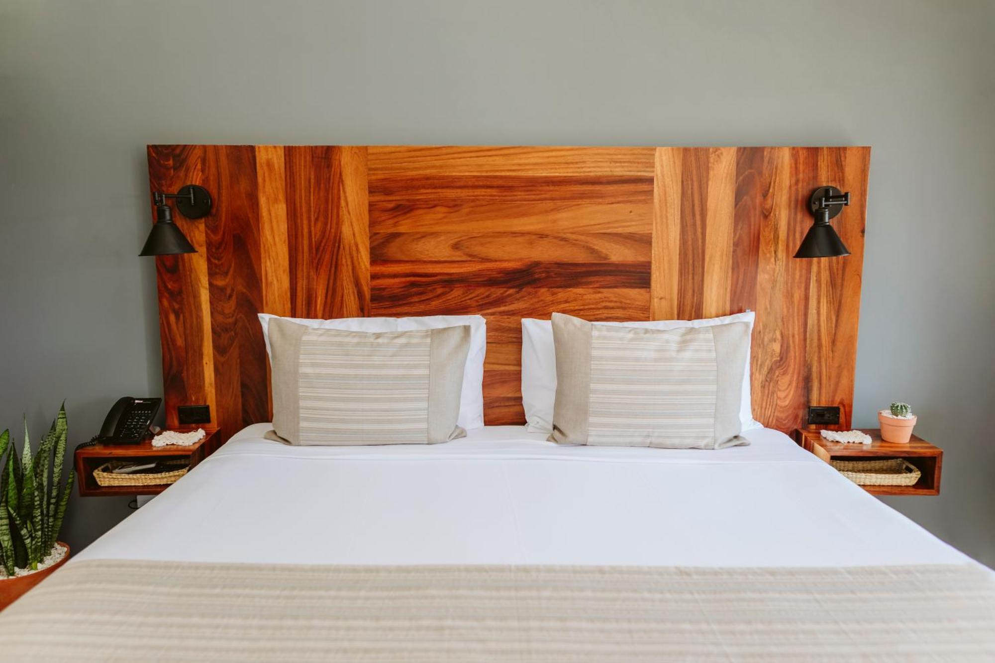 Six Two Four Urban Beach Hotel San José del Cabo 客房 照片